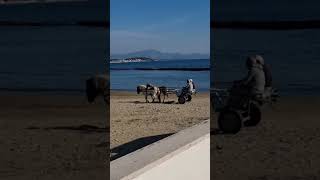 Scauri di Minturno la carrozzella a passeggio sulla spiaggia [upl. by Latsyek26]