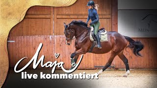 live kommentiertes Dressurtraining  Konzentration amp Losgelassenheit [upl. by Leonor686]