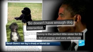 Obamas new dog Sunny already an Internet star [upl. by Anikram]