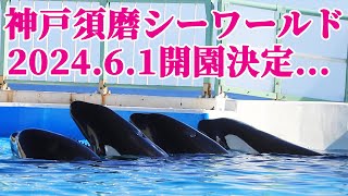 神戸須磨シーワールド2024年6月1日土開業決定 鴨川シーワールド シャチ KamogawaSeaWorld KobeSumaSeaworld orca killerwhale [upl. by Margalo758]