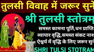 तुलसी विवाह में जरूर सुनेंतुलसी माता स्तोत्रTulsi Stotram🪔 सभी मनोकामना पूर्ति हेतु सुनें ११ बार [upl. by Nylirahs]