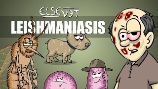 Leishmaniasis  Plain and Simple [upl. by Hemetaf6]