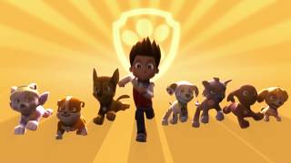 Pups Team up with the Cat Pack for HighSpeed Rescues  PAW Patrol  Cartoons for Kids Compilation [upl. by Giustino]