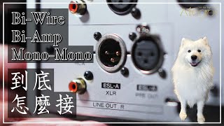 樂府音響【BIWIRE、BIAMP、MONOMONO】到底怎麼接 [upl. by Llenram119]