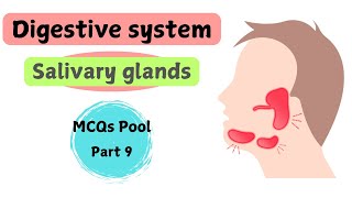 Salivary glands  Digestive System  gross anatomy  MCQs pool  part 9 [upl. by Eile269]