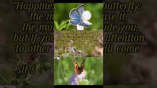 Happiness is like a butterfly lifequotes motivation motivational [upl. by Aerb]