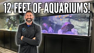 NEW 180 GALLON MBUNA AQUARIUM  The ULTIMATE Mbuna Cichlid Tank Setup [upl. by Derk]