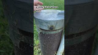 Don’t Ignore Damaged Wiring in Your Well Cap [upl. by Kenn]