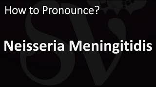 How to Pronounce Neisseria Meningitidis CORRECTLY [upl. by Ahsikram]