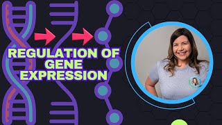 Regulation of Gene Expression Bio Ch 18 [upl. by Lu]