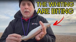 Do I Know How to Catch Whiting From the Beach UK Beach Fishing in Pevensey [upl. by Nnylav523]