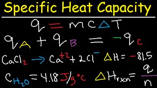 HOW TO CALCULATE YOUR DAILY CALORIES🇮🇳  INDIAN FOODS [upl. by Eldorado93]