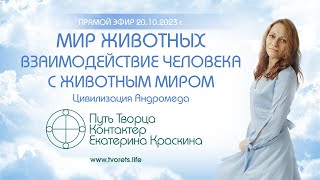 Мир животных Взаимодействие человека с животным миром [upl. by Nelli]