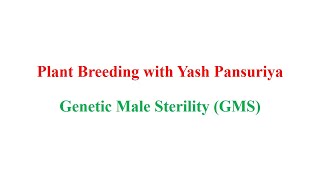 Genetic Male Sterility GMS Pollination Control [upl. by Noguchi]