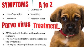 parvovirus in dogs  parvo dog virus treatment  parvovirus treatment  parvovirus symptoms  parvo [upl. by Thalia]