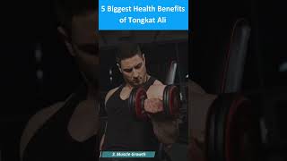 TOP 5 Health Benefits of TONGKAT ALI [upl. by Anuaek627]