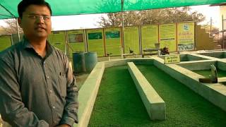 Azolla Complete Details Farming and Cultivation in Gujarati [upl. by Sinnoda]