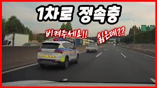 노라준카 블랙박스1차로 정속충은 경찰이 와도 절대 피하지 않지｜최신블박영상모음 [upl. by Yendirb]