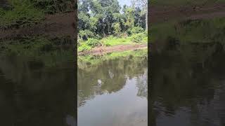 Subarnarekha river Halmad Ranchi Jharkhand Indiajharkhand river shorts video youtubeshorts [upl. by Gnurt]