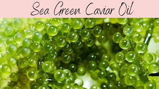 Sea Green Caviar Oil INCI Caulerpa Lentillifera Oil Beta Glucan Rich Hyaluronic Acid Alternative [upl. by Binnie]