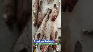 Alaskan Pollock  Most Commonly Eaten Fish [upl. by Arised608]