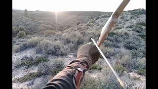 Colorado Moose Hunt Solo Longbow [upl. by Notnert]