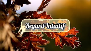 1111  🔮🍂 Regard Intuitif 🍂🔮©2024 [upl. by Nosylla]