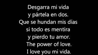 dnash  i love you mi vida letras [upl. by Estis978]