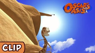 Oscars Oasis  Blueberry  HQ  Funny Cartoons [upl. by Ayit]