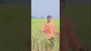 video sona sariy Pari lagelushortsvideo manimeraj dance shorts [upl. by Amat1]