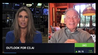 C3 AI CEO Tom Siebel on Schwab Network [upl. by Kristoffer]