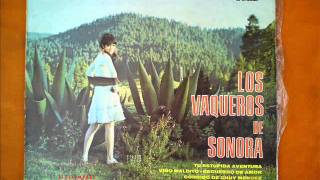 LOS VAQUEROS DE SONORA  CLEMENCIA DE AMOR [upl. by Akimas]