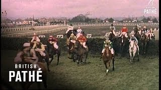 Grand National Long Version 1962 [upl. by Raffin]