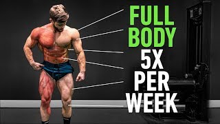 Full Body 5x Per Week Why High Frequency Training Is So Effective [upl. by Bianka261]