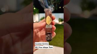 💨🔥CAVALIER Genève BII Viso Jalapa🌙 cigar cigars cigarlife lighter asmr shorts [upl. by Ecnerwaled155]