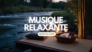 Sommeil profond et relaxation totale  Musique apaisante pour yoga méditation et détente [upl. by Ransom]