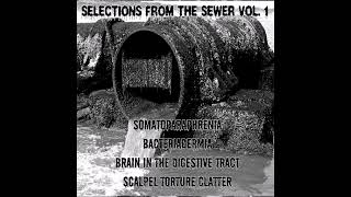 BACTERIADERMA  session 1 2011 quotSelections From the Sewer Vol 1quot compilation [upl. by Aimekahs]