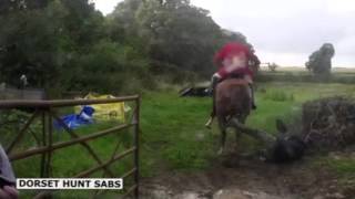 Camera captures moment hunstman on horse collided with protestor in Sherborne Dorset [upl. by Sirk]