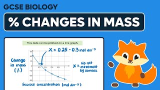 Osmosis amp Percentage Changes in Mass Calculations  GCSE Biology [upl. by Godliman]