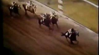 Secretariat  Preakness Stakes 1973 [upl. by Colson]