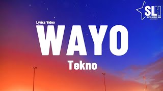 Tekno  Wayo Lyrics Video [upl. by Nalyak]