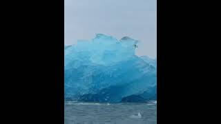 Iceberg Rolling Over Directly In Front of Boat [upl. by Aisined570]