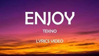 Tekno  Enjoy Lyrics Video [upl. by Sullecram]