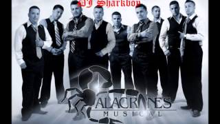 Alacranes Musical MixDJ Sharkboy [upl. by Lledroc]