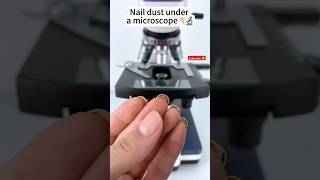 Nail dust under microscope 🔬microscope science ytshorts shortsfeed scienceexperiment trending [upl. by Ainadi371]