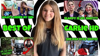 Best Of Carlie HD 2023 Running Over Things Slappy Whats inside [upl. by Aihsekram]