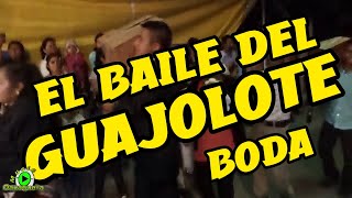 El baile del guajolote tradicional en una boda [upl. by Lombardy]