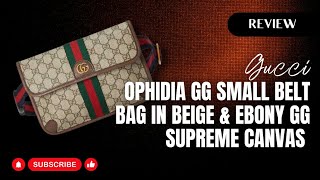 Gucci Ophidia GG Small Belt Bag REVIEW amp UNBOXING [upl. by Oilut]