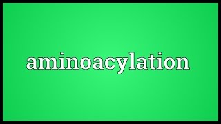 Aminoacylation Meaning [upl. by Mendez755]