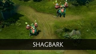 Dota 2 Courier  Shagbark [upl. by Bittner647]